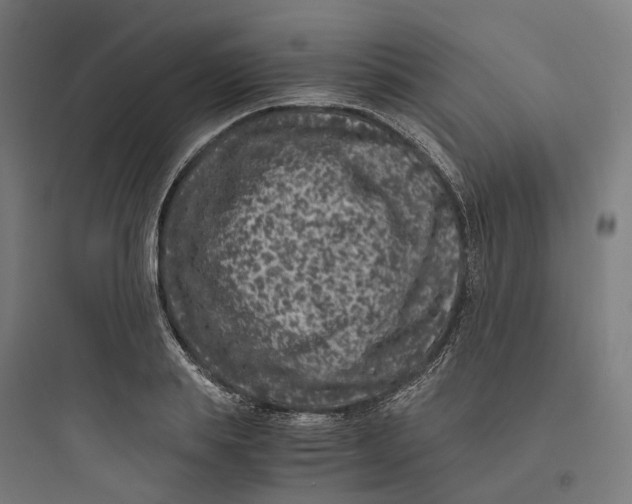 X0000093750839200711061046