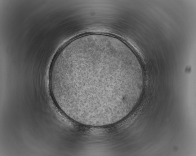 X0000093750840200711061046