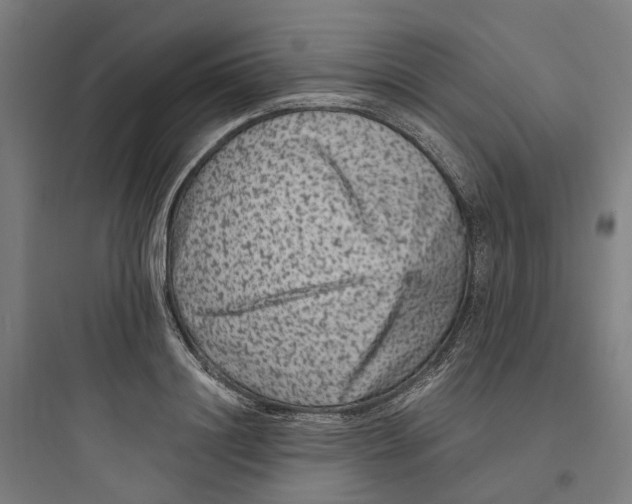X0000093750844200711061046