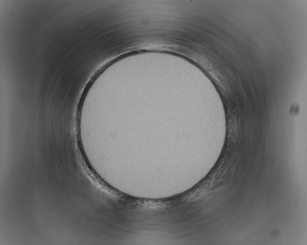 X0000093750848200711061046