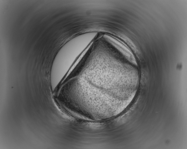 X0000093750849200711061046