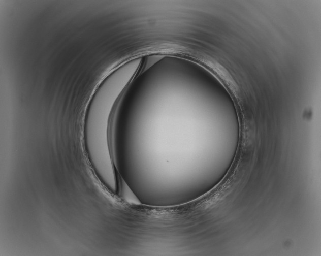 X0000093750850200711061046