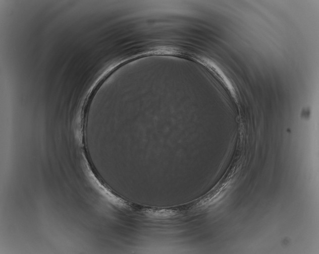 X0000093750851200711061046