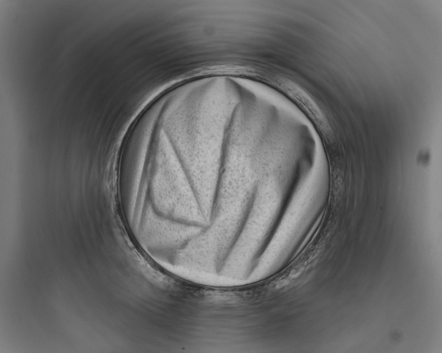 X0000093750852200711061046