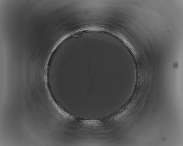 X0000093750853200711061046