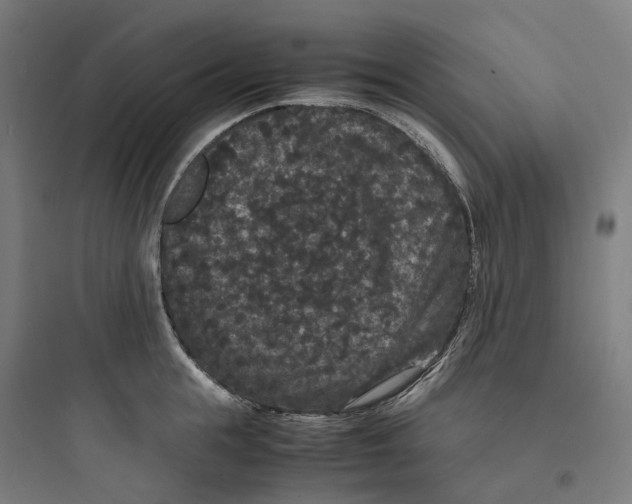 X0000093750855200711061046