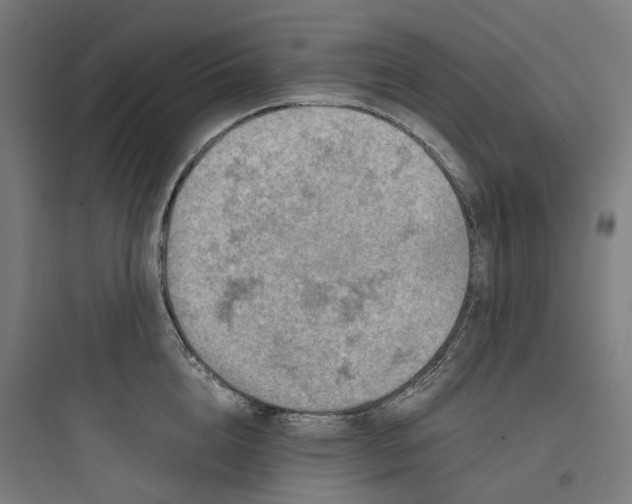 X0000093750856200711061046