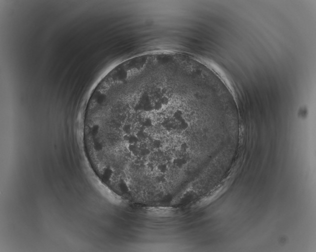X0000093750859200711061047