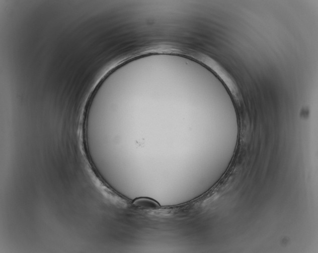X0000093750861200711061047