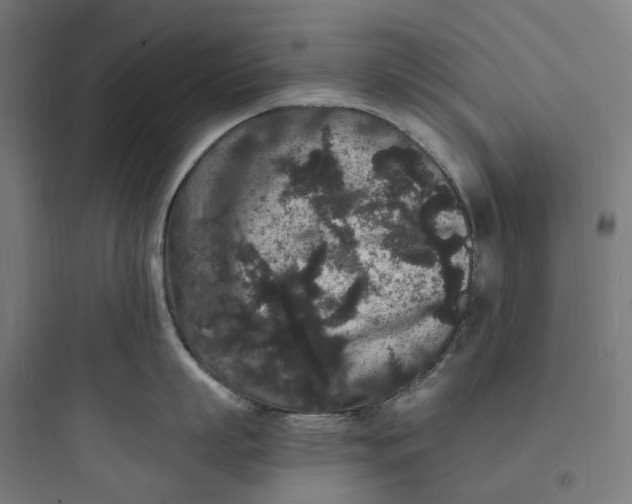 X0000093750863200711061047