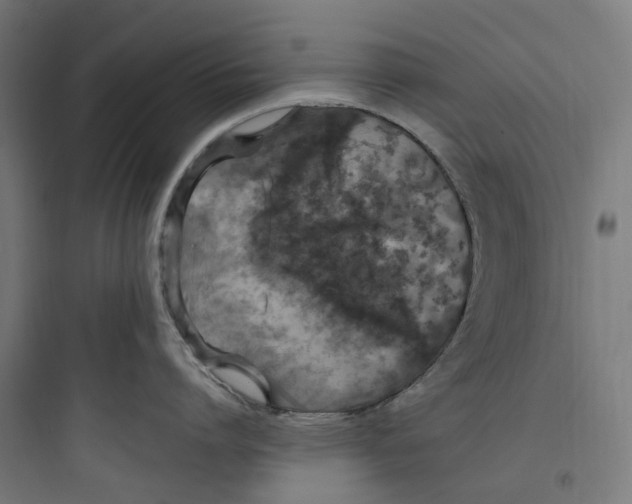 X0000093750864200711061047