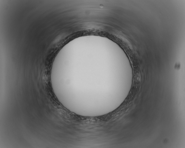 X0000093750869200711061046
