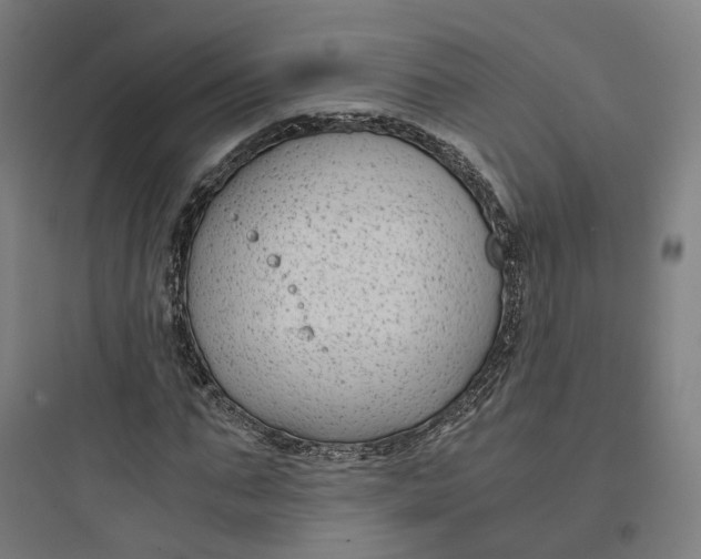 X0000093750871200711061046