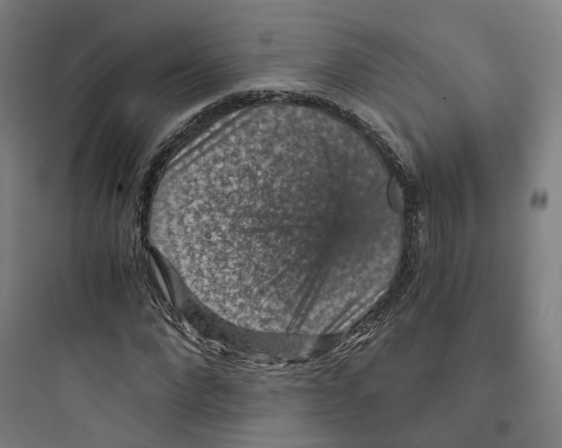 X0000093750872200711061046