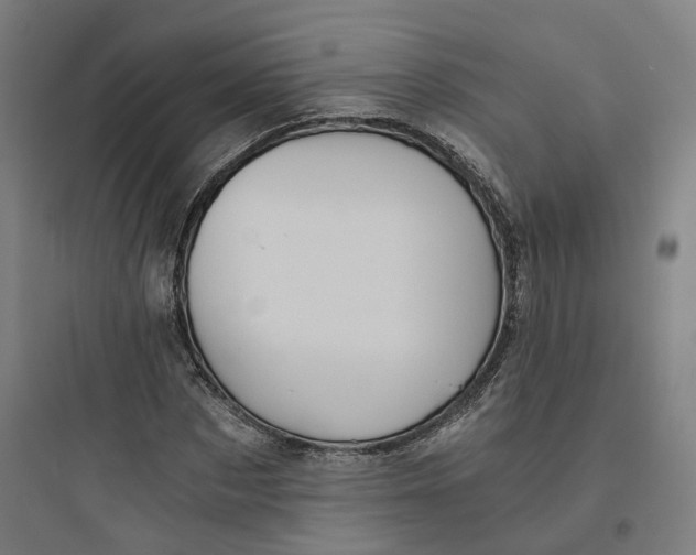 X0000093750873200711061046