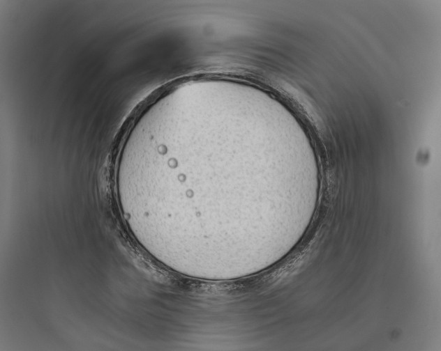 X0000093750875200711061046