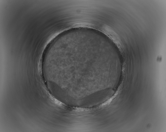 X0000093750877200711061046