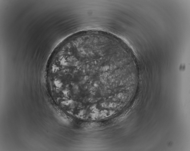 X0000093750879200711061046