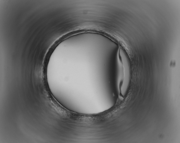 X0000093750880200711061046