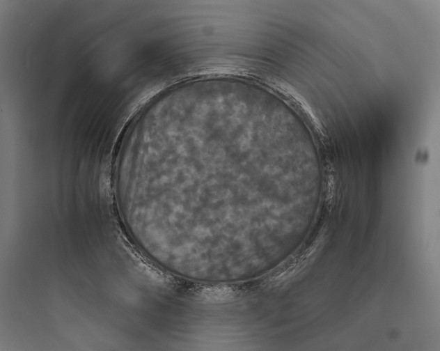 X0000093750882200711061046