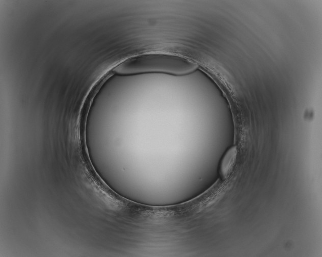 X0000093750884200711061045