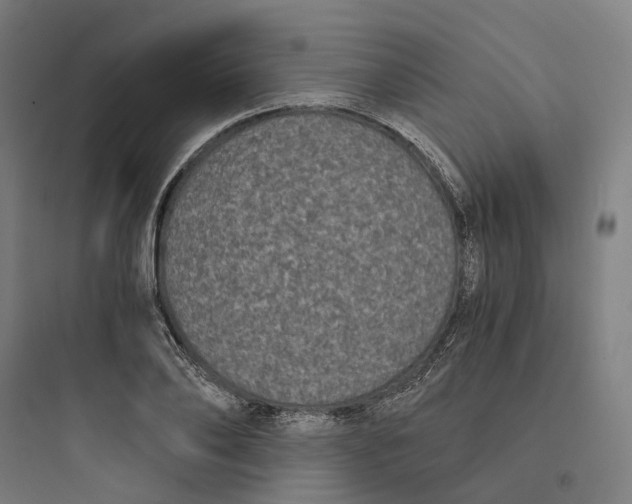X0000093750886200711061045