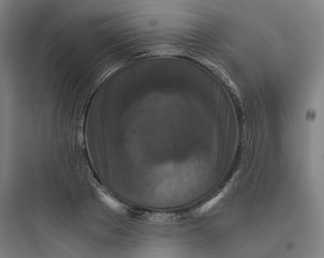 X0000093750889200711061045