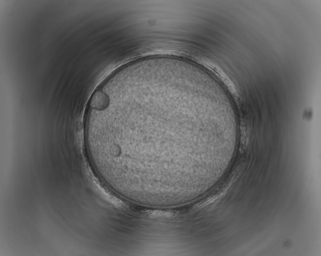 X0000093750890200711061045