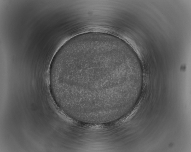 X0000093750891200711061045