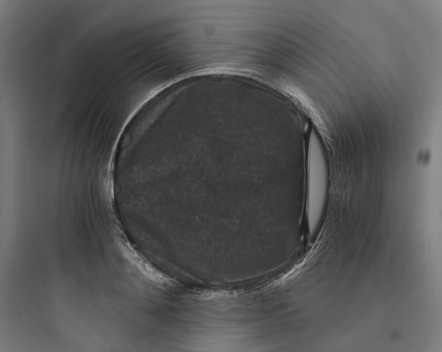 X0000093750892200711061045