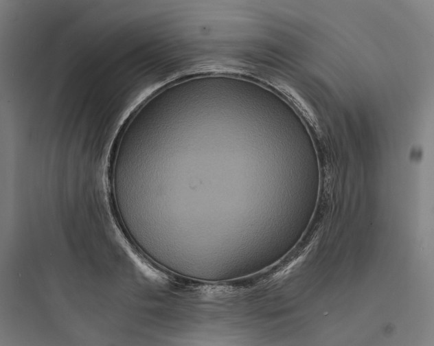 X0000093750893200711061045
