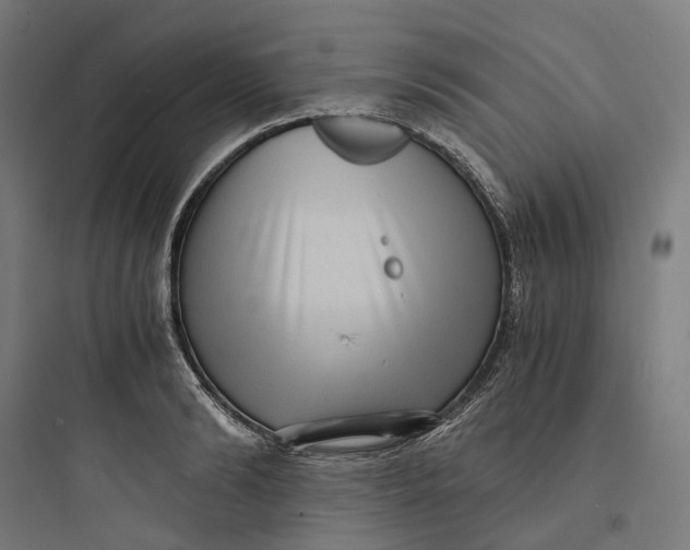 X0000093750894200711061045