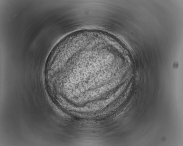 X0000093750895200711061045