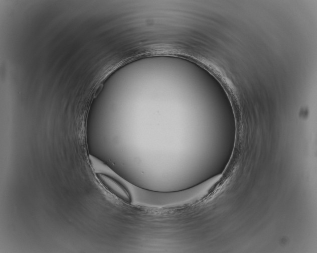 X0000093750897200711061045