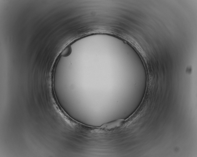 X0000093750898200711061045