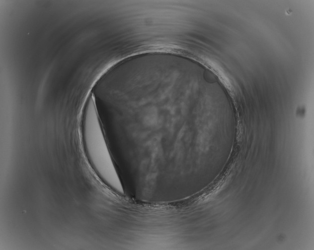 X0000093750899200711061045