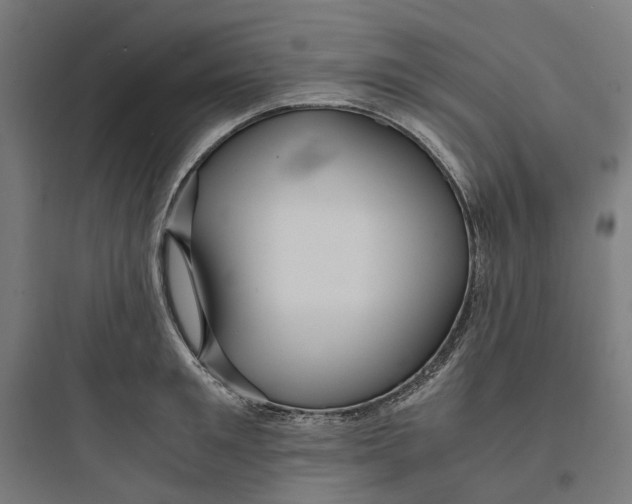 X0000093750901200711061045