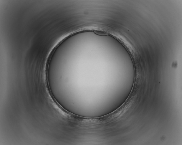 X0000093750902200711061045