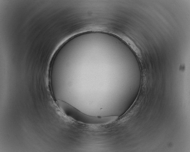 X0000093750904200711061045