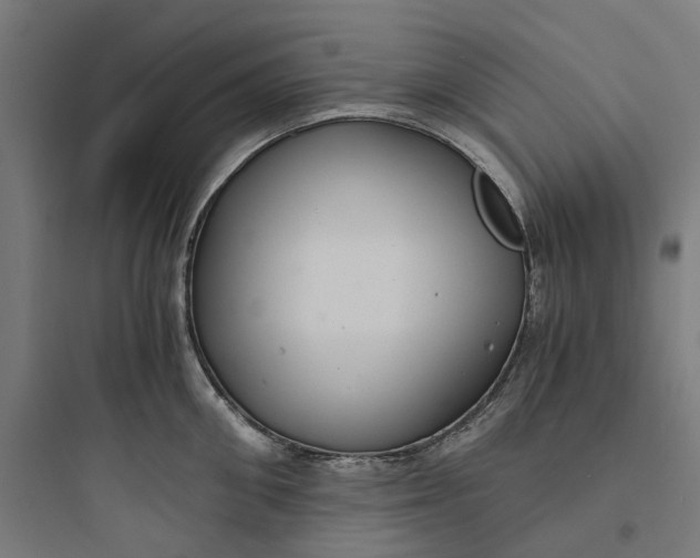 X0000093750906200711061045