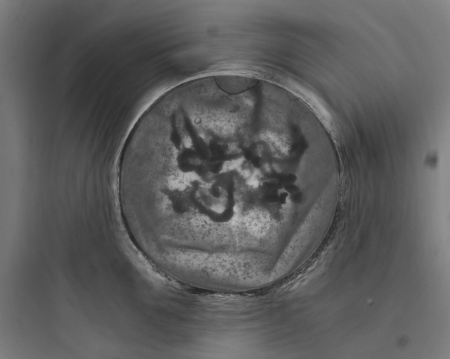 X0000093750907200711061045