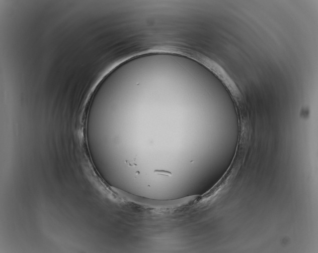 X0000093750908200711061045