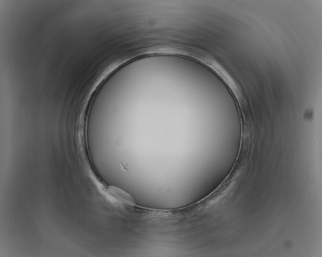 X0000093750909200711061045