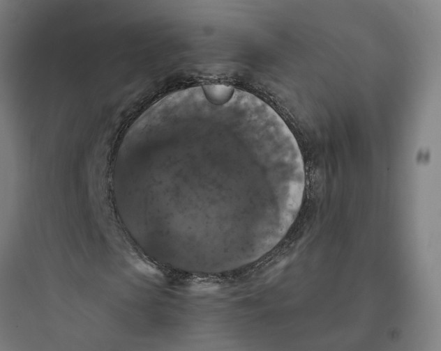 X0000093750913200711061044