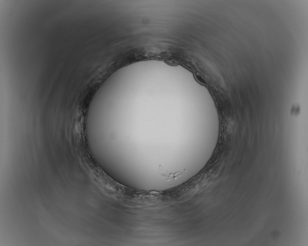 X0000093750914200711061044