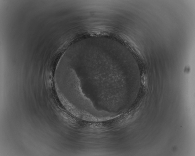 X0000093750915200711061044