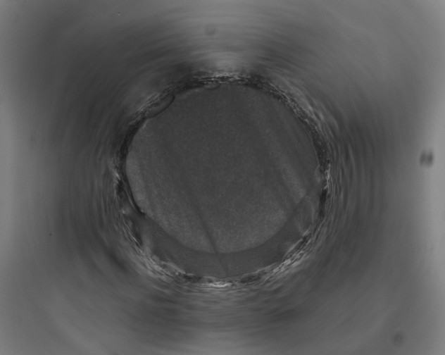 X0000093750916200711061044