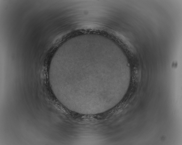 X0000093750918200711061044