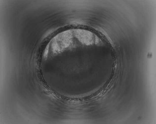 X0000093750919200711061044