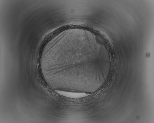 X0000093750920200711061044